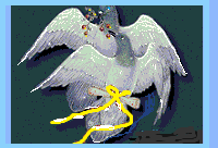 animal meanings dove