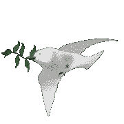 dove of peace